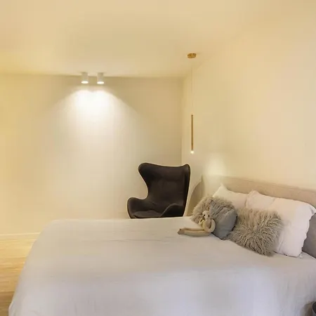 Apartment Elegant Pied -a - Terre Parisien V38 *